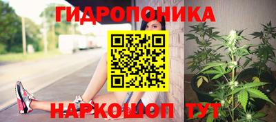 сатива Донецк