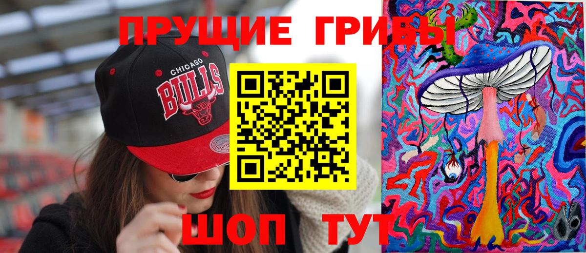 Галлюциногенные грибы Psilocybe Первоуральск
