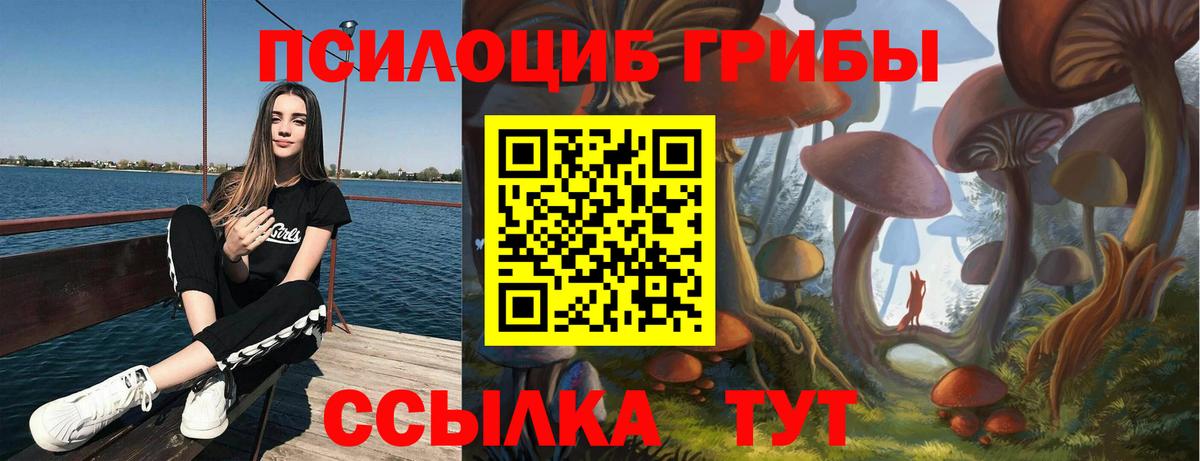 Галлюциногенные грибы Psilocybine cubensis  Вход с VPN  Первоуральск 